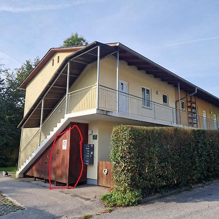 グラーツErholung Pur Nahe Krankenhaus & Uni Mit Parkplatz!アパートメント エクステリア 写真